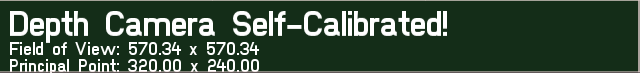 Self Calibrated Depth
